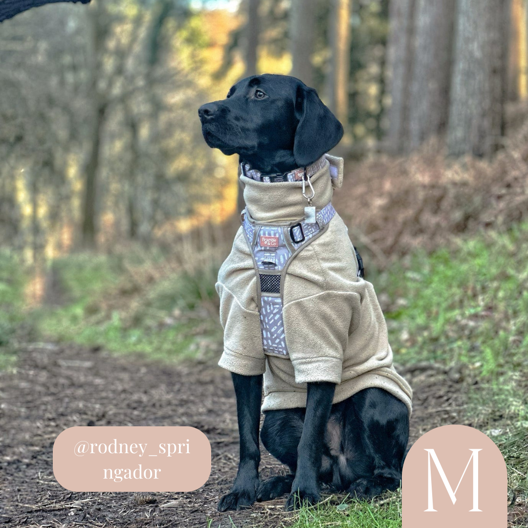 3-Point Adjustable Harness - The Feelings Neutral: Extra Small
